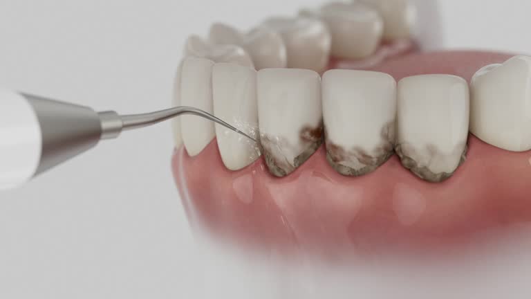 Reliable Dental contractor in Bowling Green, OH by Dentist Open Now